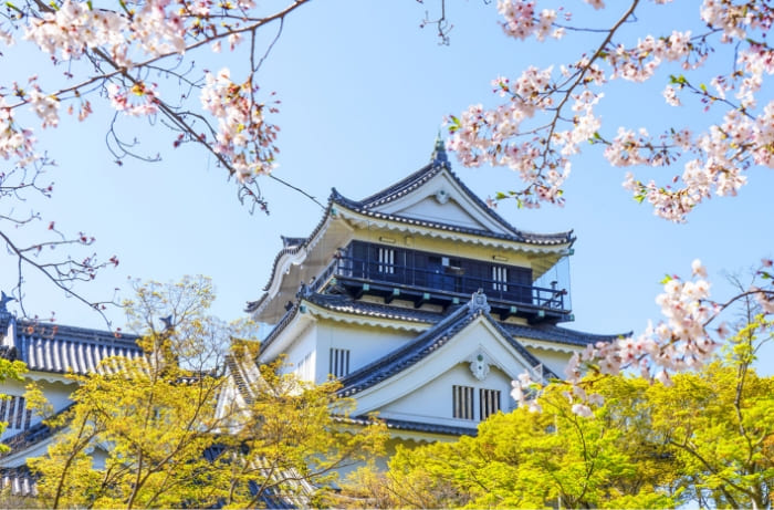 西三河 岡崎城